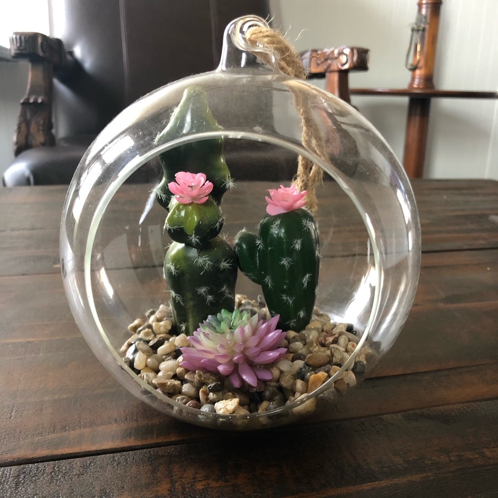 Cacti Desert Glass Hanging Succulent Terrarium